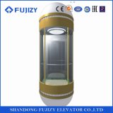 FUJI Panoramic Passenger Elevator with Machine Room-Less Fjgw8000-1
