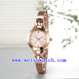 Custom Design Watch Alloy Classic Wrist Watches (WY-021D)