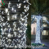 Professional Factory Supplier Christmas Outdoor Decoration LED String Lights
