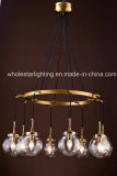 Metal Chandelier with Glass Shade (WHG-650)