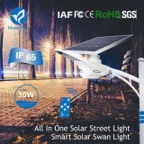 30W Outdoor IP65 Solar LED Street Light with Solar Panel