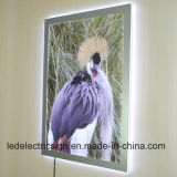 LED Light Box Supply Ultra Thin LED Stencil Board