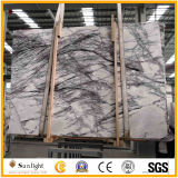 Polished Heaven Bird Marble Slabs for Wall and Flooring and Vanity Tops