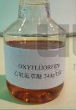Hot Sell Agrichemical Herbicide Oxyfluorfen 240g/L Ec
