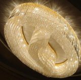 Modern Crystal Customized Ceiling Lamp (WHP-6068Z)