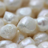 12-13mm Large Baroque Freshwater Pearl Beeds (E190017)