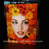 8000 Model Large-Scale Outdoor Advertising LED Waterproof Box