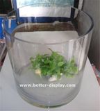 Custom Clear Acrylic Large Diameter Acrylic Tube