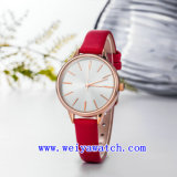 Wholesale Watch Stainless Steel Ladies Watch (WY-17035C)