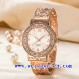 Custom Name Watch ODM Stainless Steel Ladies Watch (WY-G17007B)