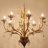 Iron Metal Chandelier Light Crystal for House Decoration (SL2222-8)