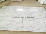 Modern Color Calacatta White Marble with Grey Vein for Tile and Slab
