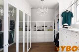Closet with Built in Shoe Shelves Over Dresser (BY-W-49)