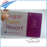 PVC Membership Card/Gift Card/Plastic Business Card