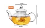 High Borosilicate Glass Tea Pot