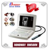 Vet Ultrasound, Used Ultrasound Equipment, Portable Ultrasound Scanner, Ge USG, Bcf, Ecm, Pregnancy Scan Ultrasound, Reproduction Ultrasound Machine
