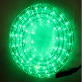 Outdoor Holiday Decoration 2 Wire Horizontal LED Rope Light-Green