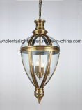 Metal Chandelier with Glass Shade (WHG-8172)