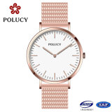 Fashion Watch Quartz Movt Stainless Steel Case with Mesh Band