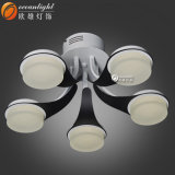 Hanging Ceiling Lamp Cover Ceiling Light Remote Control Ceiling Light Fixture Parts (OM66107-5)