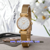 Stainless Steel Watch Customize Casual Wrist Watches (WY-017A)