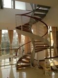 Special Spiral Design 12mm Tempered Glass Solid Wood Stairscase