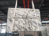 Chinese White Marble, Arabascatta Marble Slab for Floor Tile, Wall Tile, Villa Decoration
