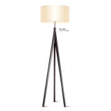 Modern and Fshion Decorative Floor Lamp (ML-8806)