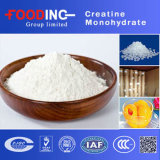 GMP Certified Creatine Monohydrate Powder Wholesalers