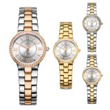 Lady Stainless Steel Waterproof Jewelry Watch with Sapphire Glass 71193