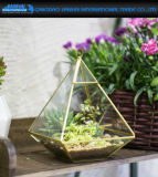 Glass Geometric Terrarium Box Tabletop Succulent Plant Terrarium Box