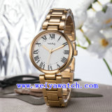 Watch with Unisex Business Luxury Wrist Watches (WY-025B)