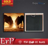 ERP Lot20 Manufacturer TUV GS SAA Ce RoHS IP54 ISO9001 Image Surface High Quality 800W Infrared Heater Film