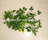 Artificial Rattan with White Flower Ornament (MW16027)