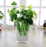 Wholesale Clear Glass Vase Tall Vase Home Decoration
