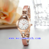 Hot Selling Watch Promotion Ladies Watch (WY-041D)