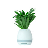 Creative Gift Bluetooth Speaker Aroma Diffuser with 100% Plant-Extracted Aroma Crystal and Negative Ions.