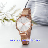 Watch OEM Stainless Steel Wrist Watches (WY-17035B)