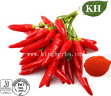High Pure Nature Red Pepper Extract Capsaicin