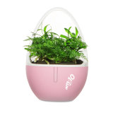 Office Gift Small Air Purifier with Plant Fragrance and Negative Ions