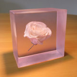 Square Acrylic Lucite Paper Weight