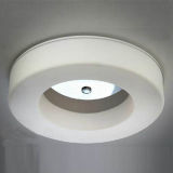 Hot Arylic LED Ceiling Lamp Lighting for Bedroom