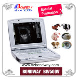 Portable Veterinary Ultrasound Machine, Mindray Ultrasound, USG, Ultrasound Scan Machine, Medical Equipment, Veterinary Ultrasonic Scanner