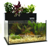 Super Quality Acrylic Fish Tank for Sale