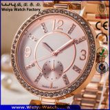 Custom Logo Women Quartz Watch Fashion Wrist Watches for Ladies (WY-17004D)