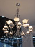 Decorative Teapot Pendant Lamp with Glass Crystal Drops (1089S)