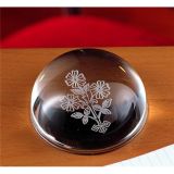 Dome Crystal Engraved Folwer as Paper Weights Gift (CP4010)