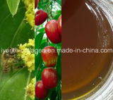 Top-Level 100%Natural Organic Red Jujube Honey, Organic Ripe Honey, No Antibiotics, No Pesticides, No Pathogenic Bacteria, Prolong Life, Health Food