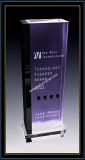 Purple Crystal Building Award Plaques 11