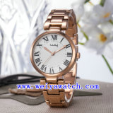Business Luxury Wrist Watches for Women (WY-025A)